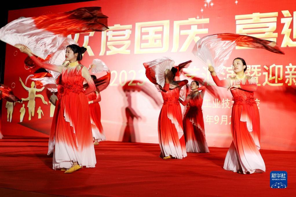 网上真博